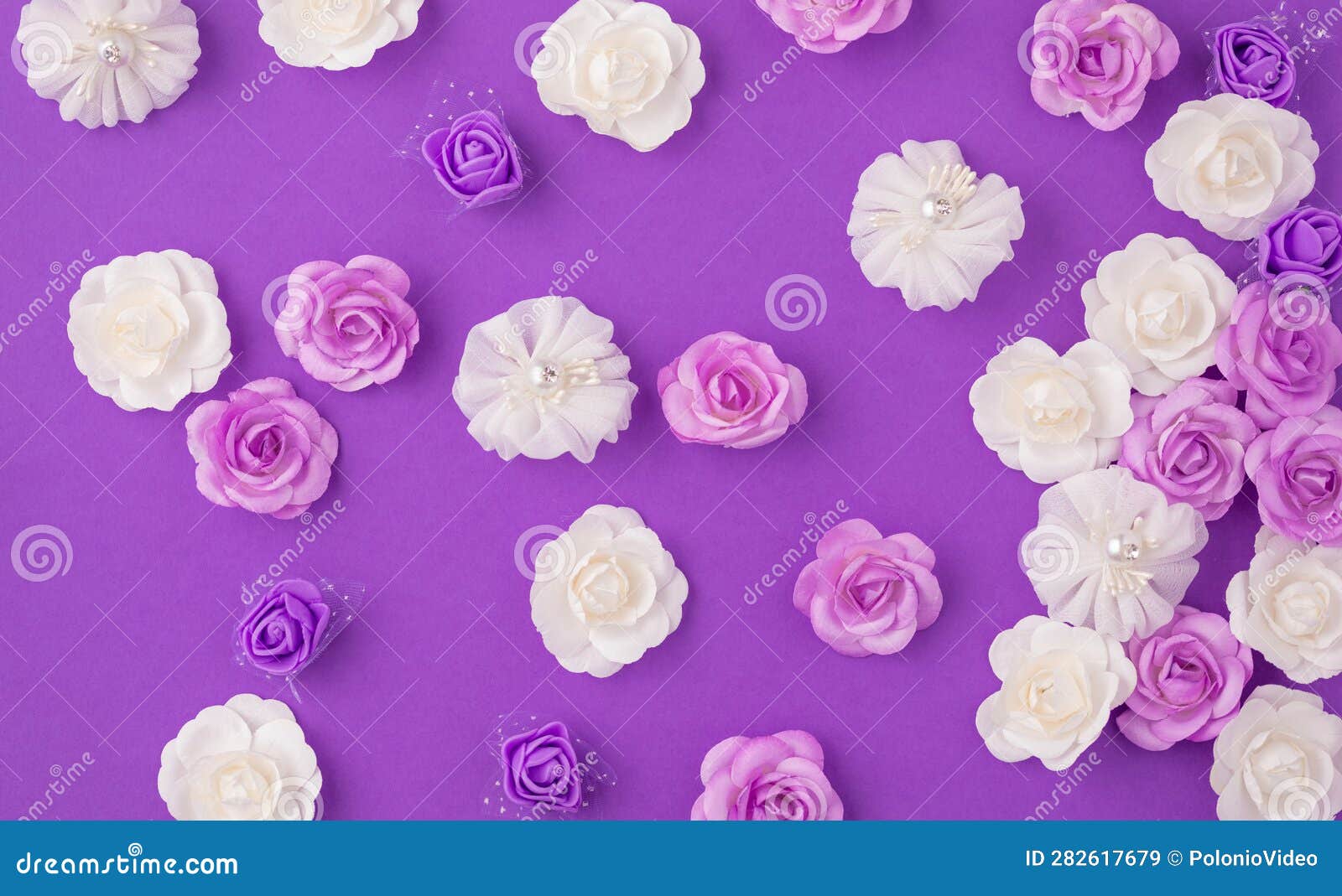 White and Purple Bed Flowers Stock Image Image of botanical, vibrant