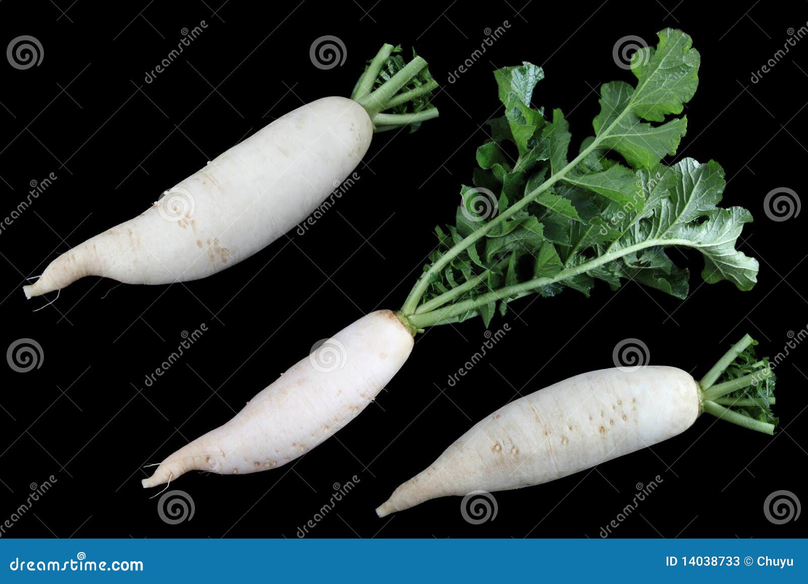 White radish stock image. Image of adish, harvest, vegetarian 14038733