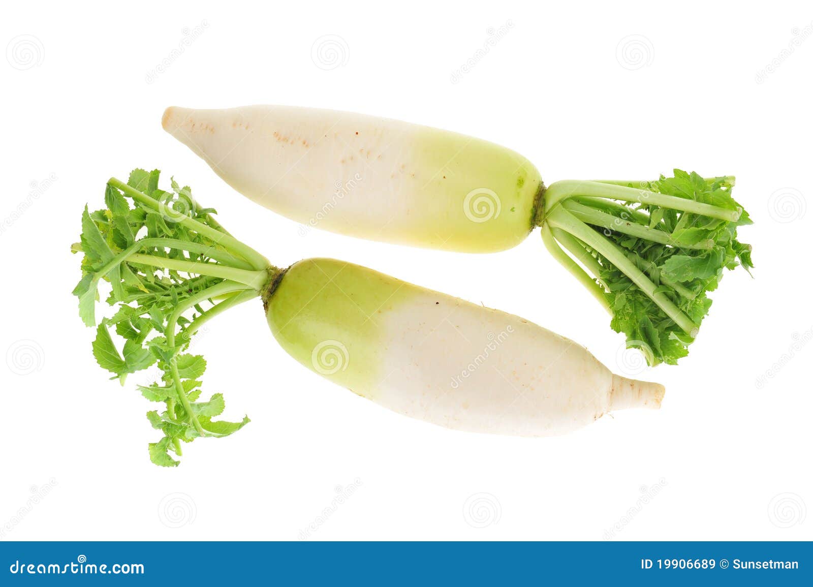 White Radish Background With Roots On The Table In Light And Shade