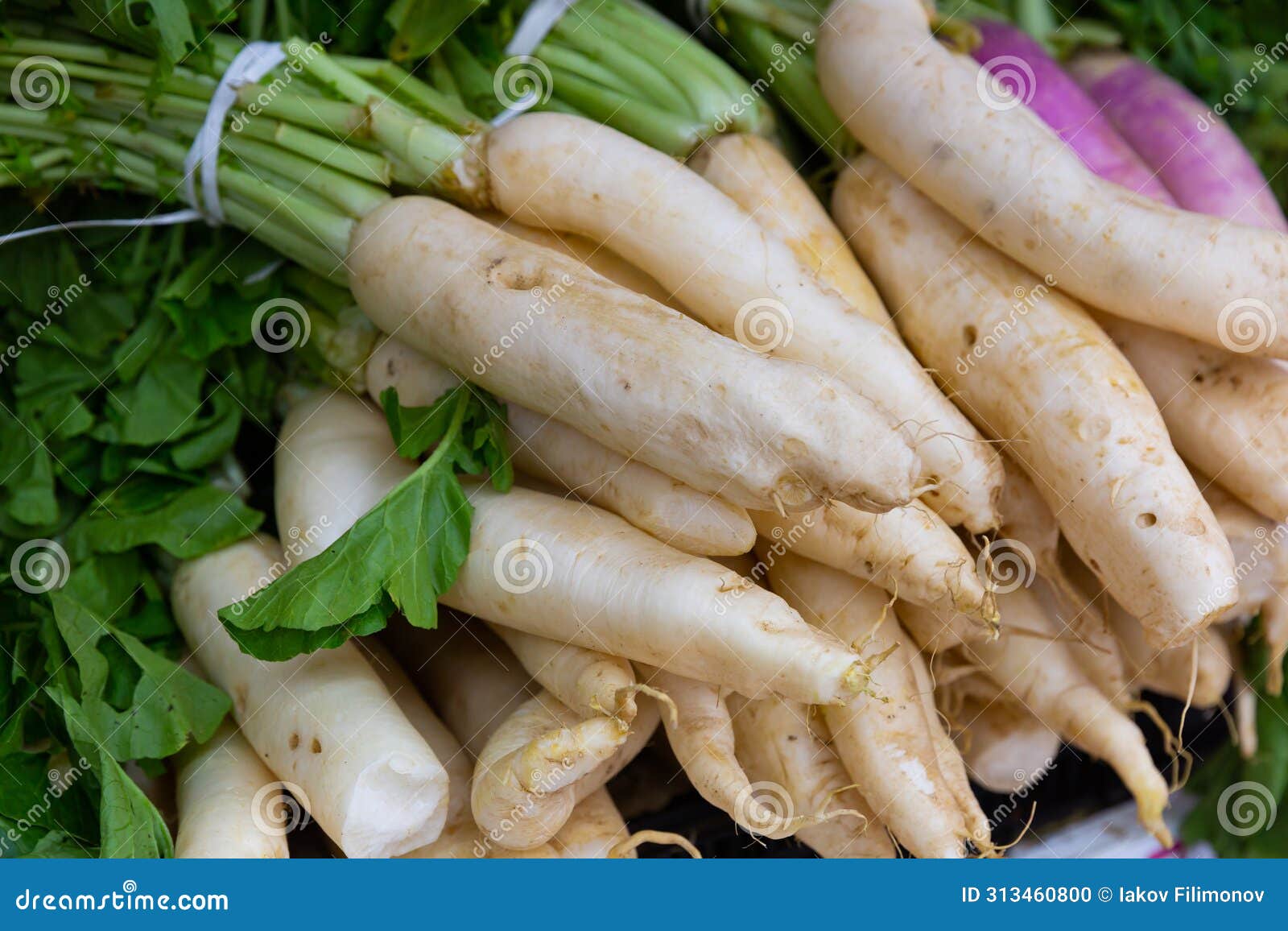 white radish in boxes on counter