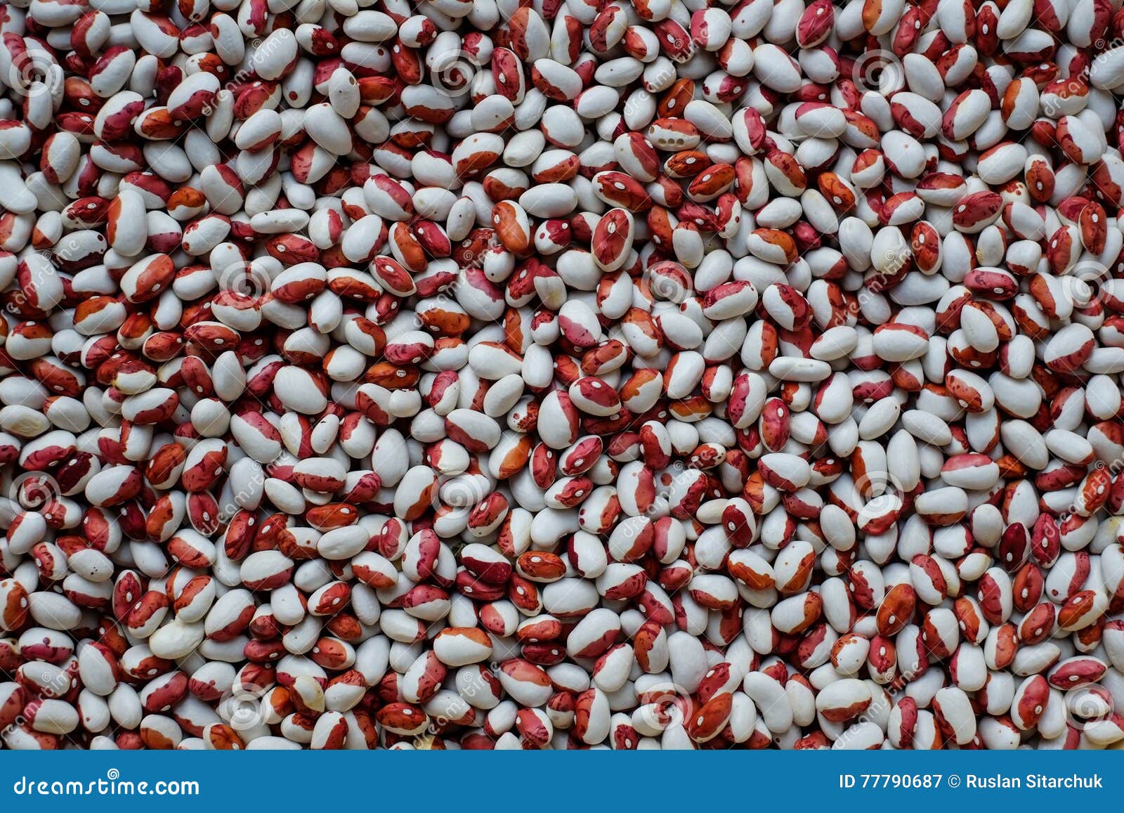 White red kidney beans stock image. Image of carbohydrates 77790687