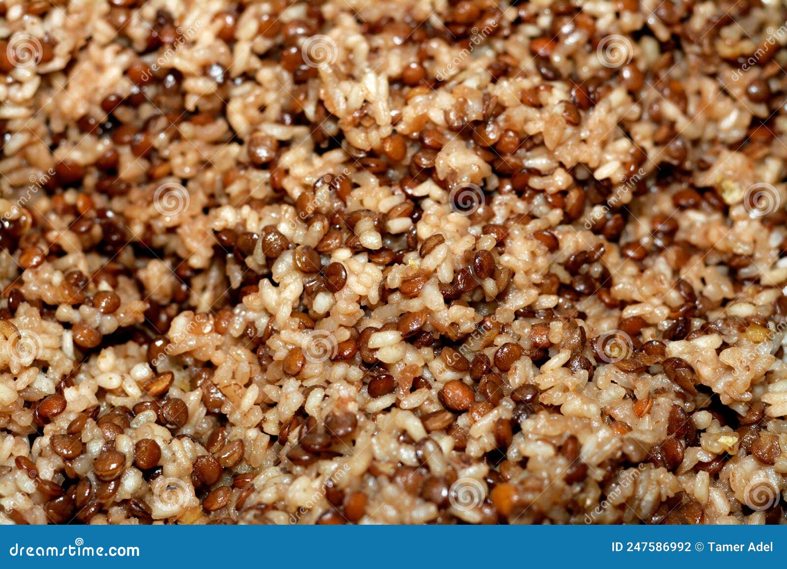 white rice and brown lentils cooked on hot steamed water vapor which is the main  of koshary, a popular street food