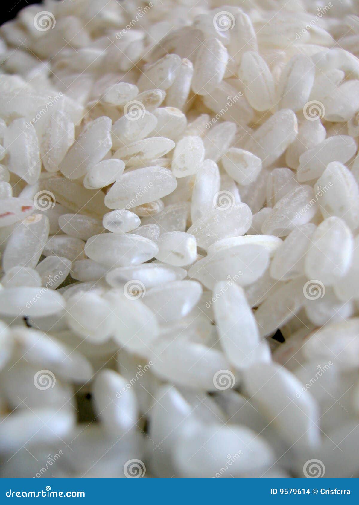 White rice macro stock photo. Image of macro, isolated 9579614