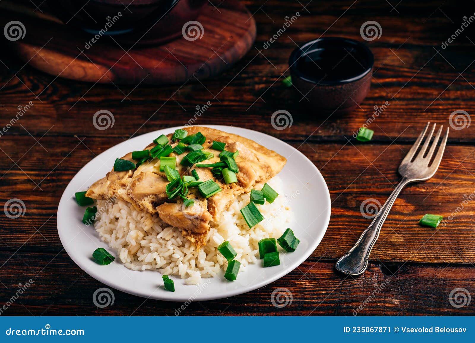 White Rice with Scrambled Eggs with Chicken and Green Onion Stock Image