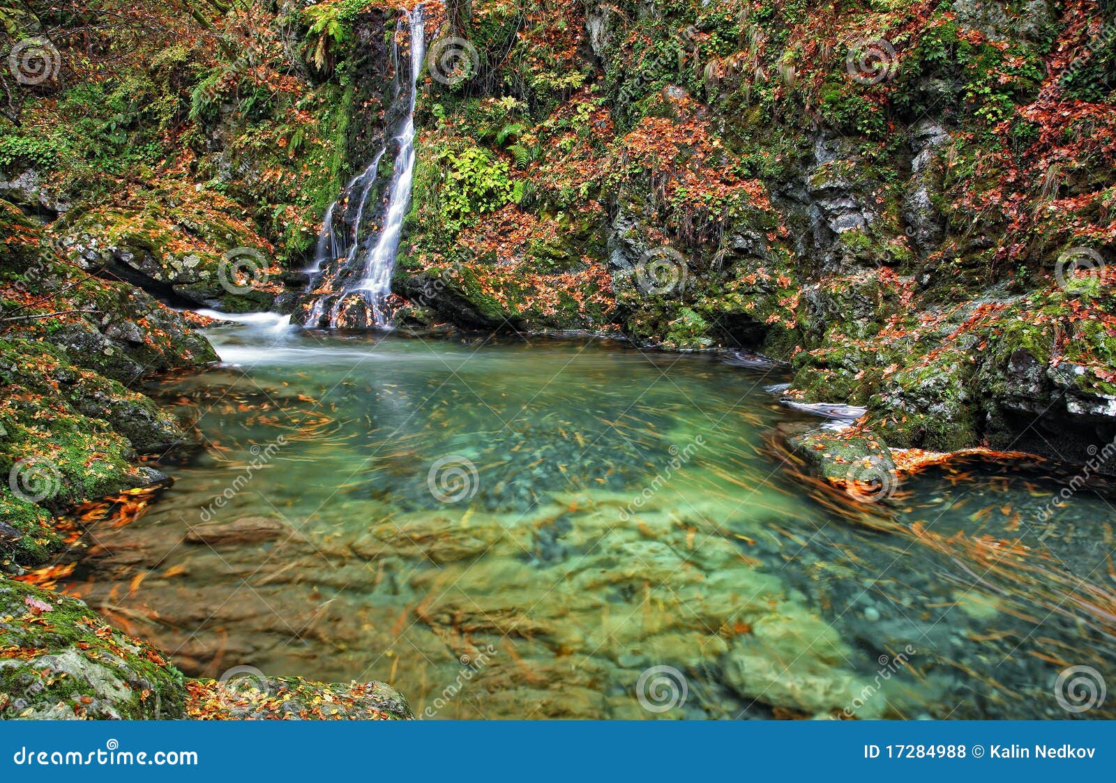 White river stock photo. Image of list, clean, fresh - 17284988