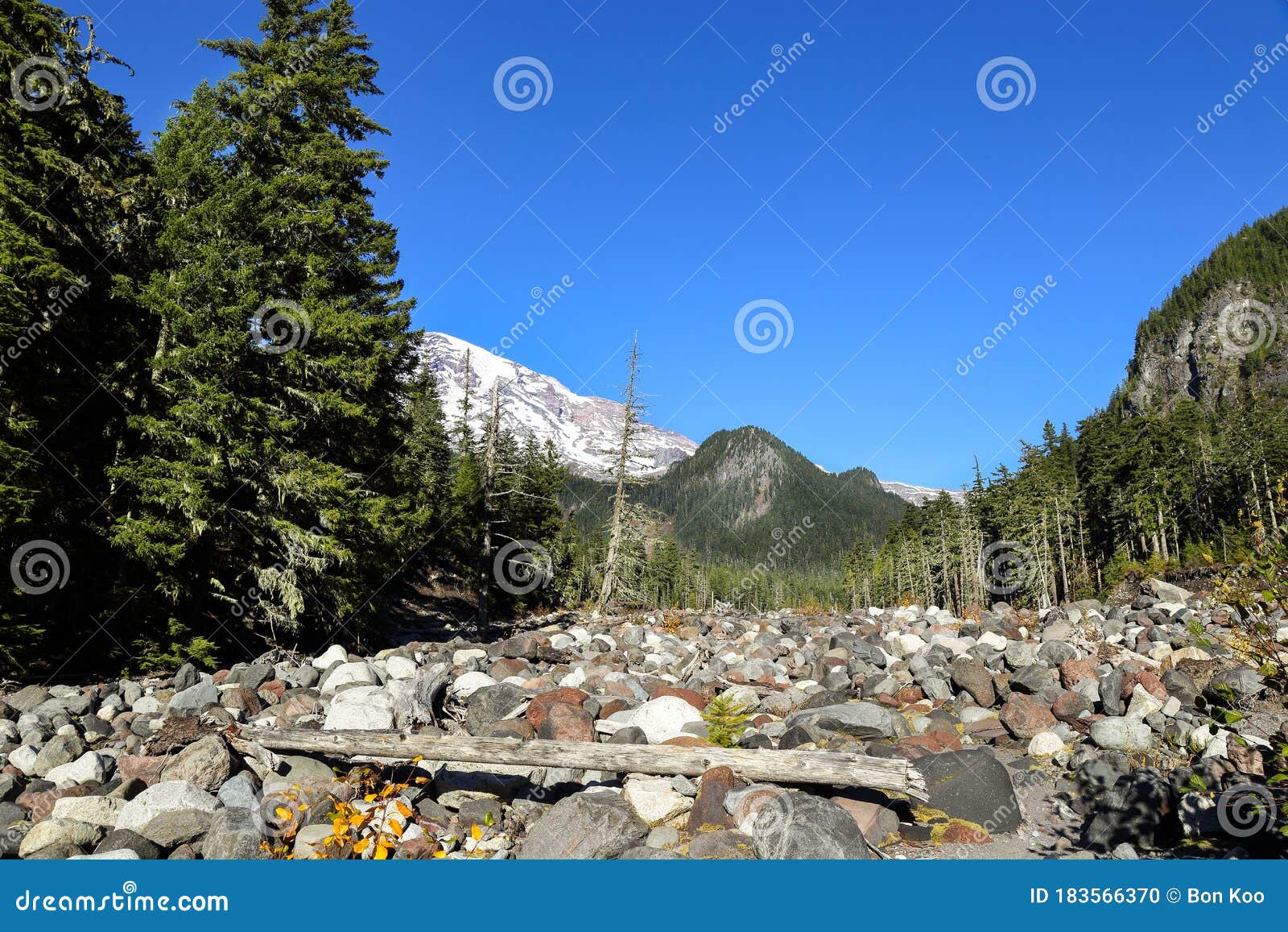 White River on the Way To Mt. Rainier in the Background Stock Photo