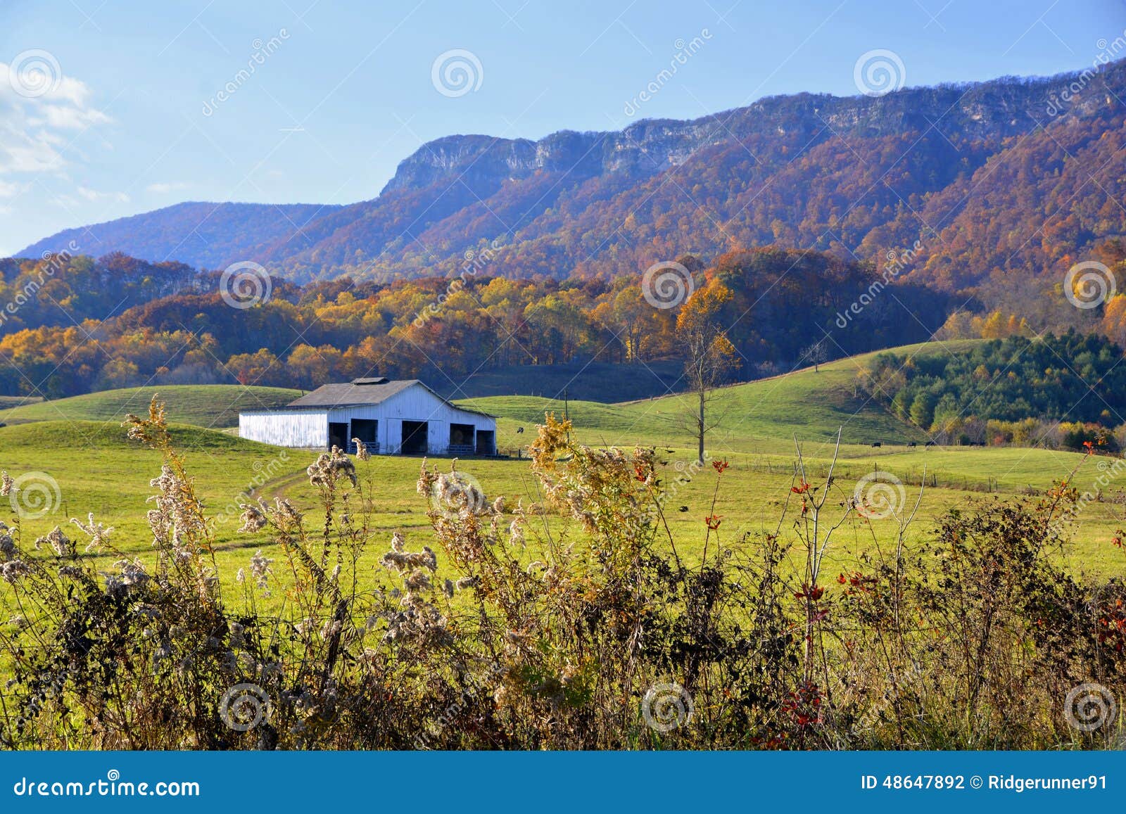 white-rocks-near-ewing-virginia-48647892.jpg