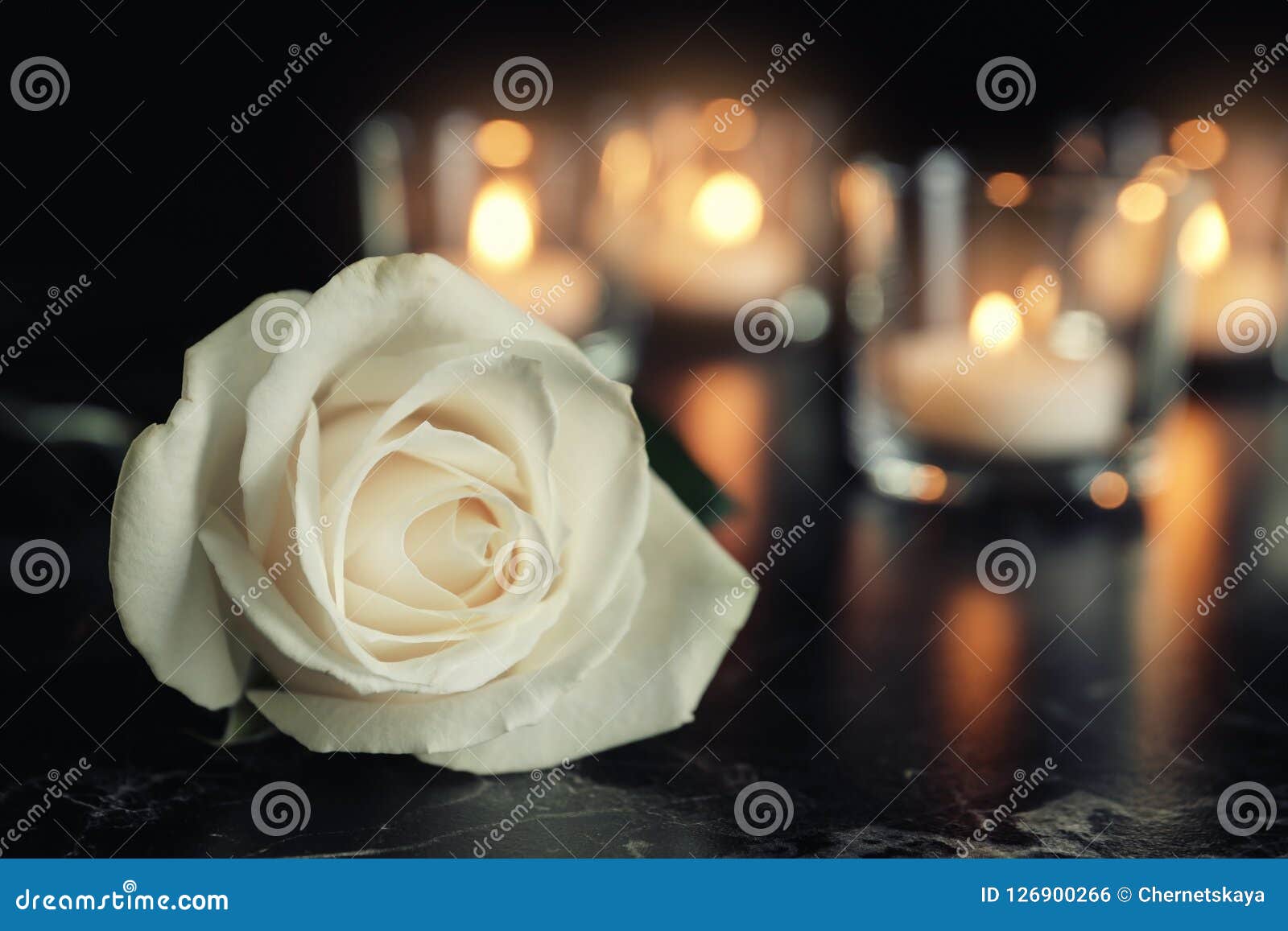 white rose and blurred burning candles on table in darkness, space for text.