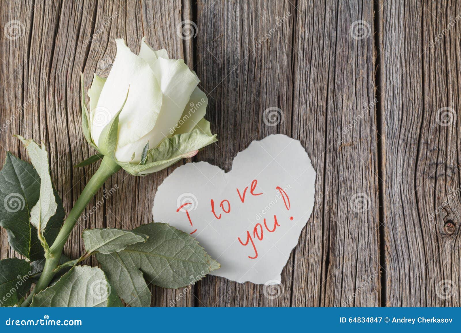 White Rose with Love Message Stock Image - Image of message ...