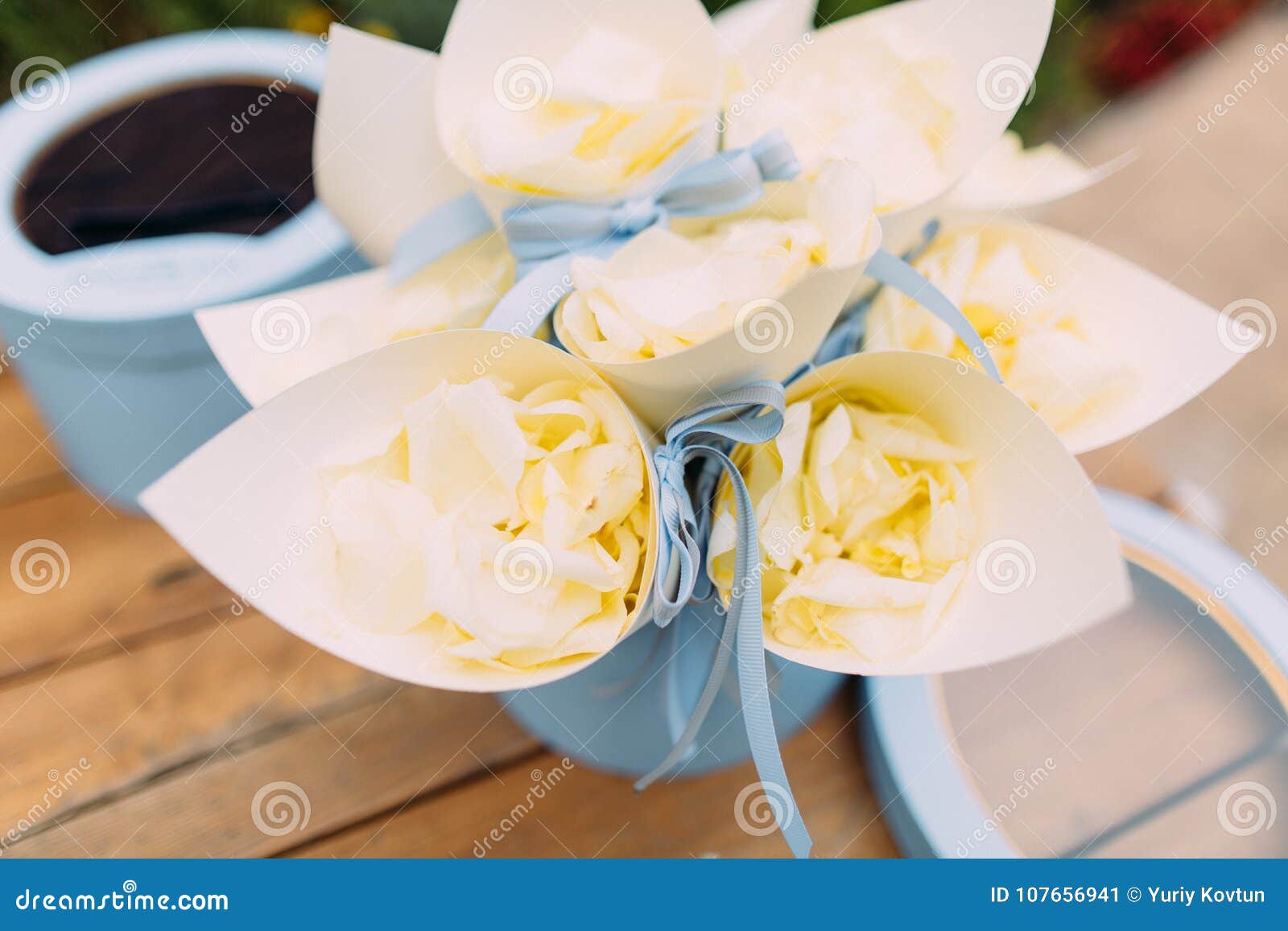 White rose petals stock image. Image of blue, white 107656941