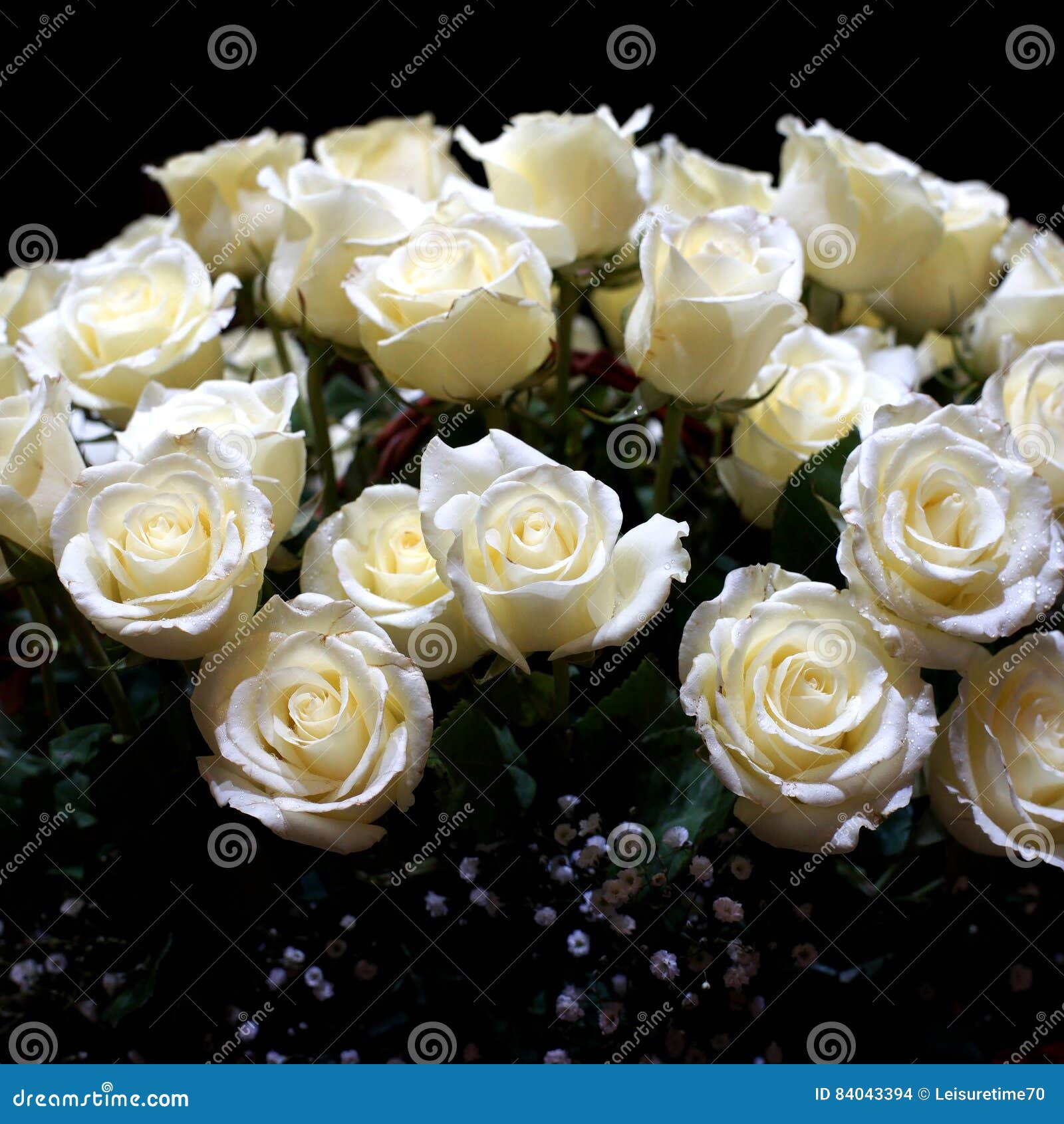 White Rose for Valentine Day Stock Photo Image of bouquet, floral
