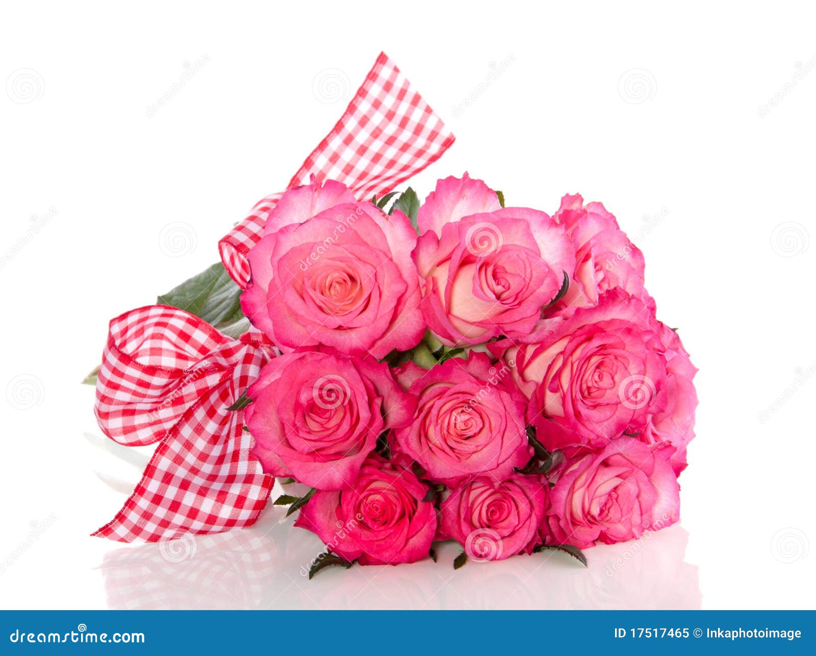 White Roses with Pink Edges Stock Image Image of elegance, green 17517465