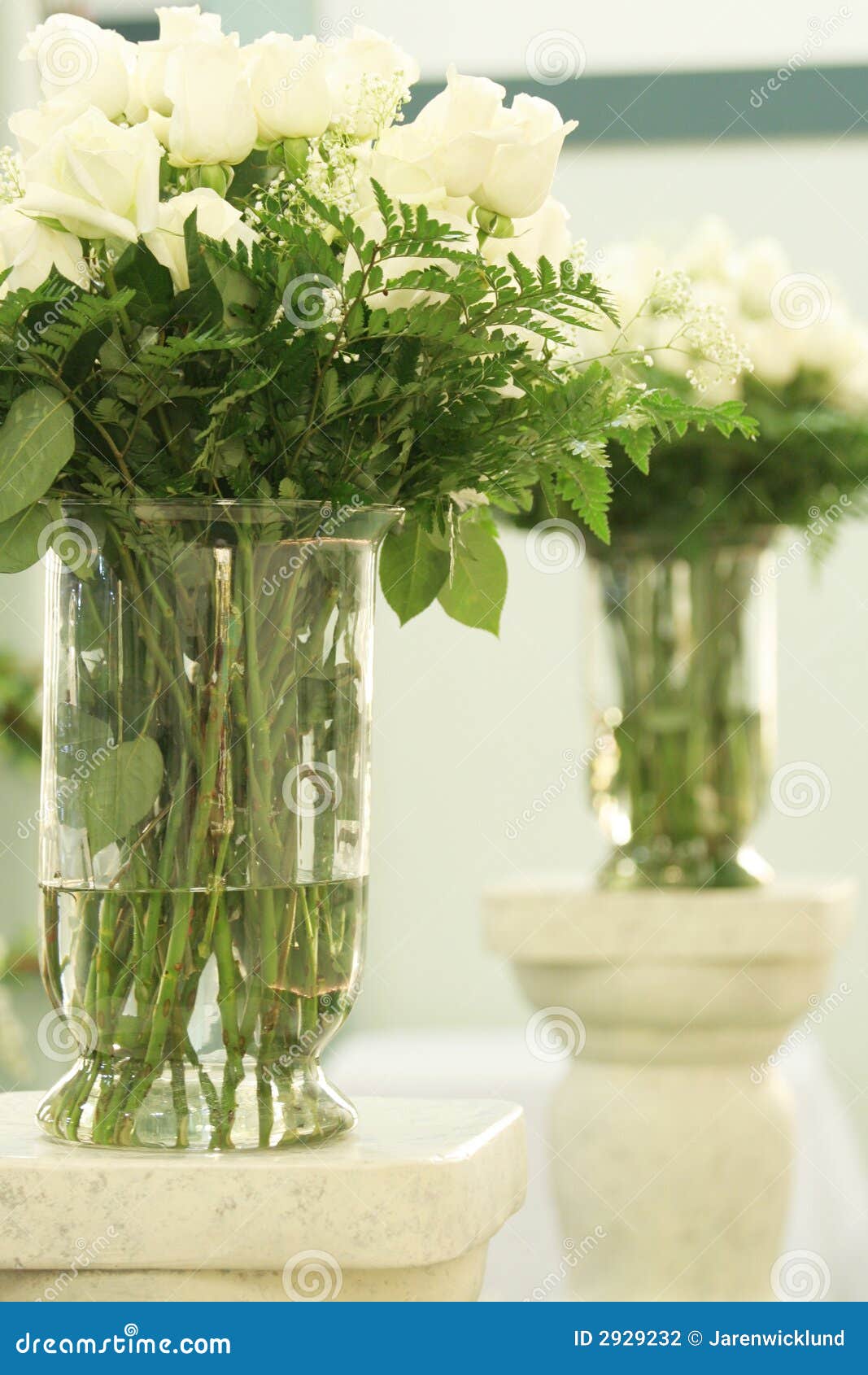 White Roses in Vases stock photo. Image of collection 2929232