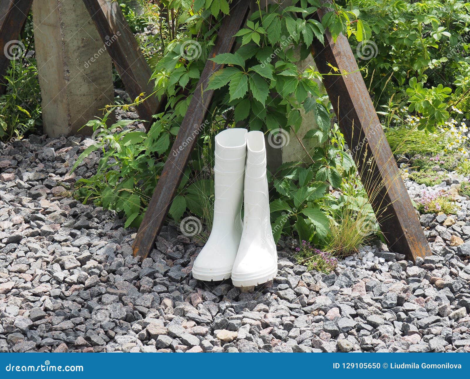 White Rubber Boots On The Rocks In The Garden Stock Photo Image