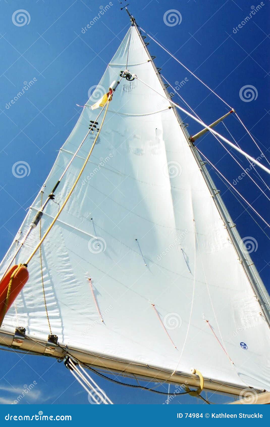 white sail stock images - image: 74984