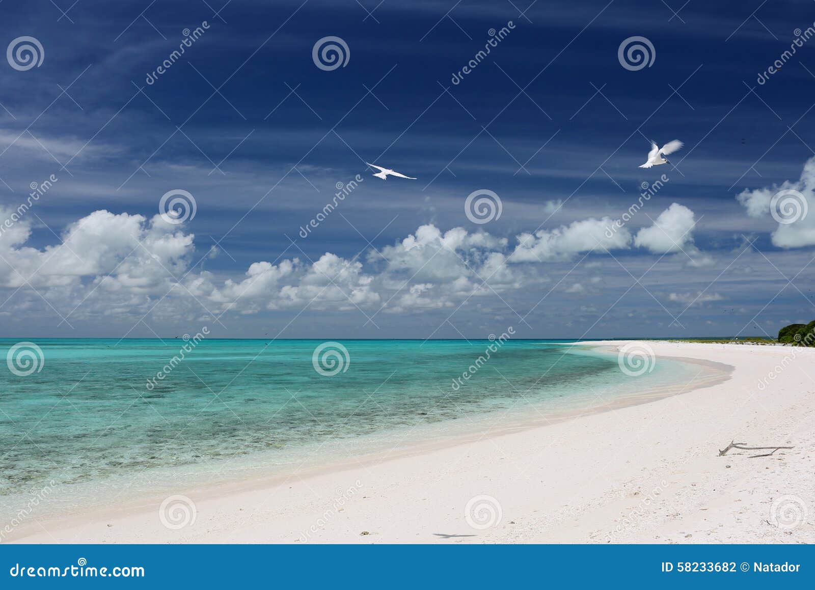 white sand beach on cook islet