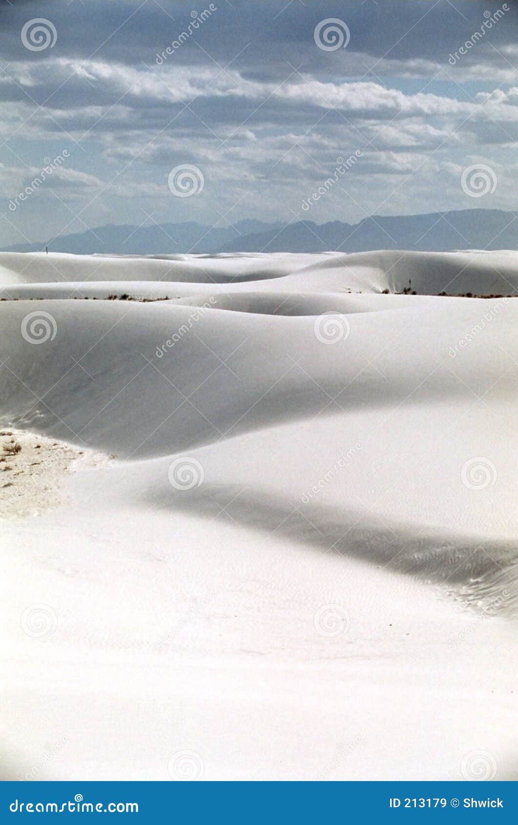 sail desert sand leopard white