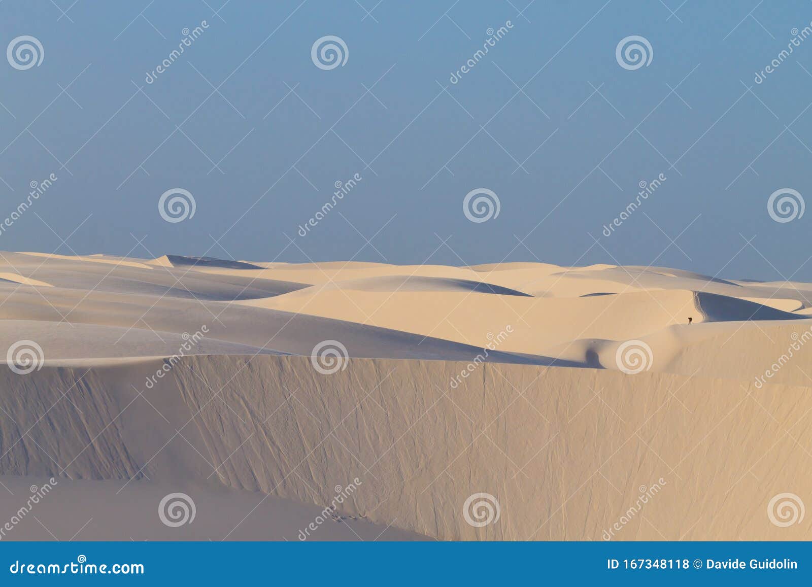 white sand dunes panorama from lencois maranhenses national park, brazil