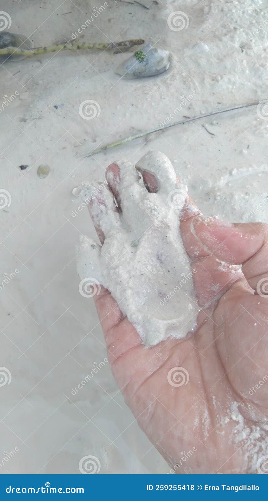 White sands beach stock photo. Image of textile, petal 259255418