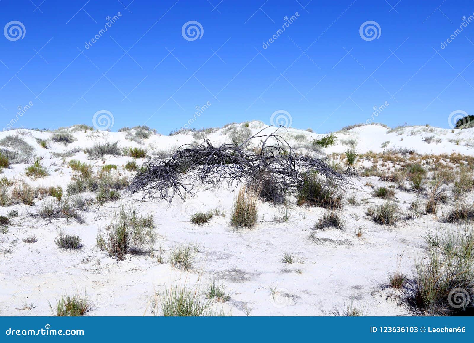 white sands national monument in new mexico,