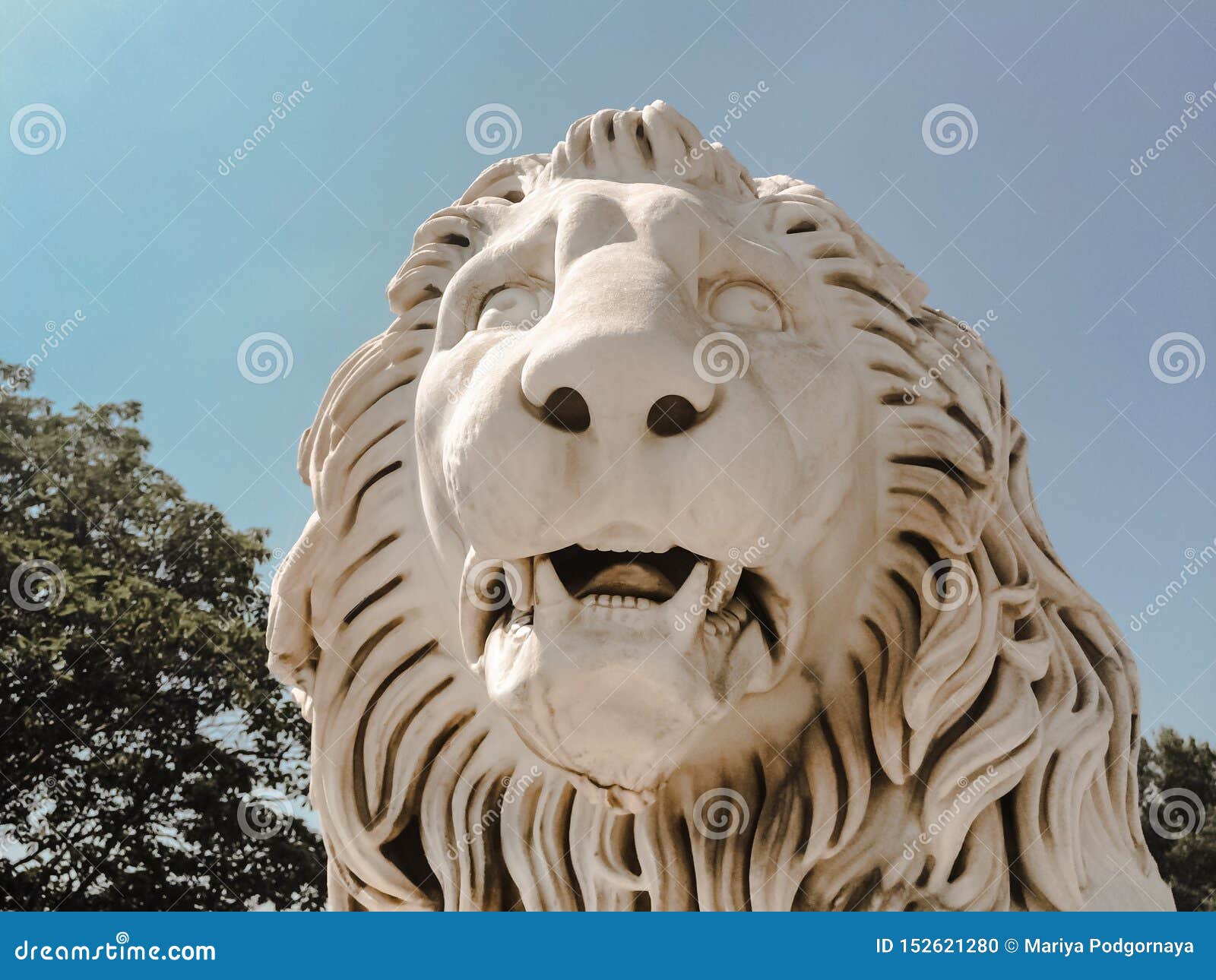 White Sculpture Close Up Of A Lion`s Head With Open Maw With Fangs And Mane In The Sunlight
