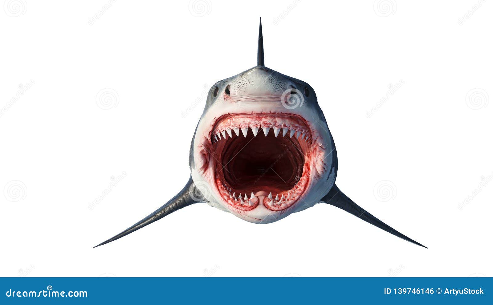 www.shark attack raft free download www.shark attack raft free download