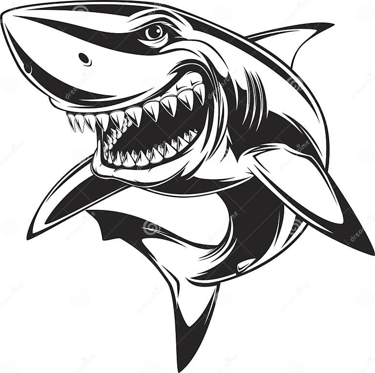 White shark stock vector. Illustration of fins, character - 40325694