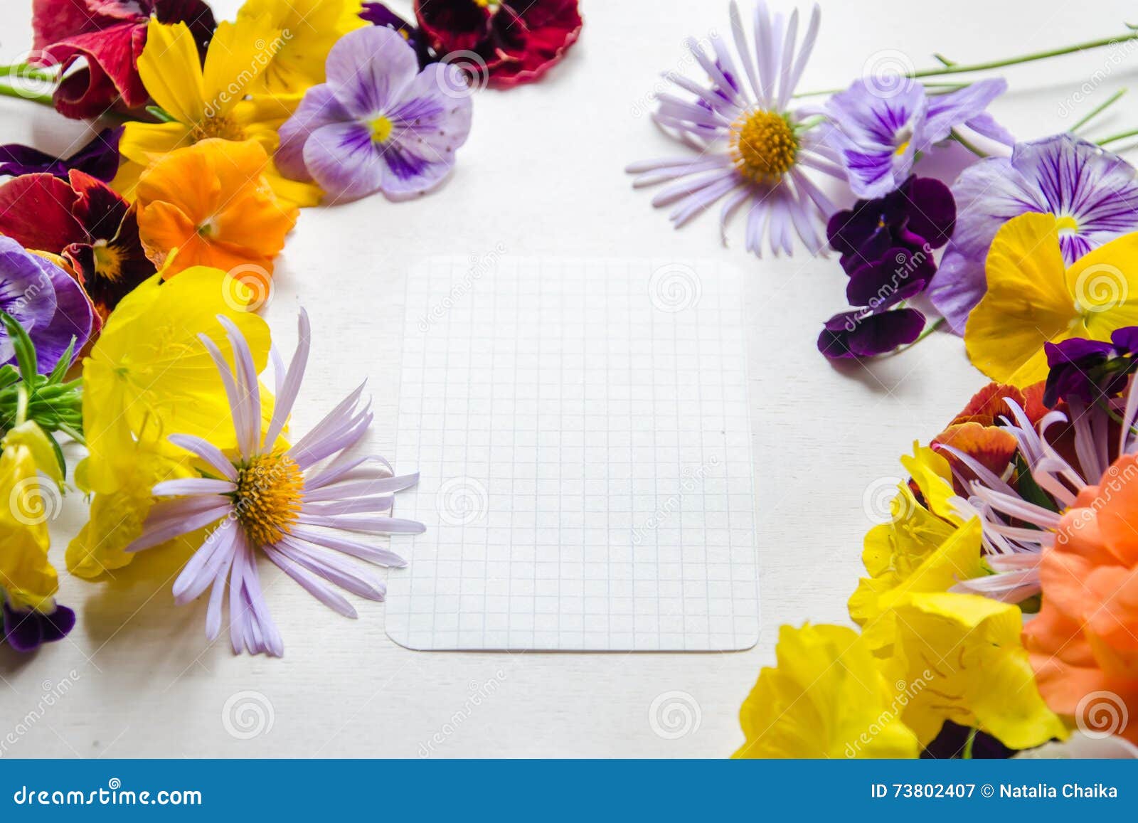 White Sheet of Paper Surrounded with Colourful Flowers Stock Image - Image  of beautiful, season: 73802407