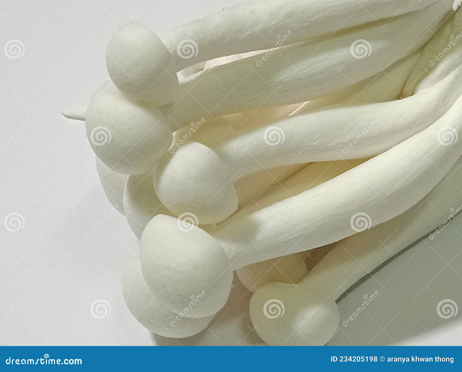 White Shimeji Mushrooms are Good for the Body. Stock Photo Image of