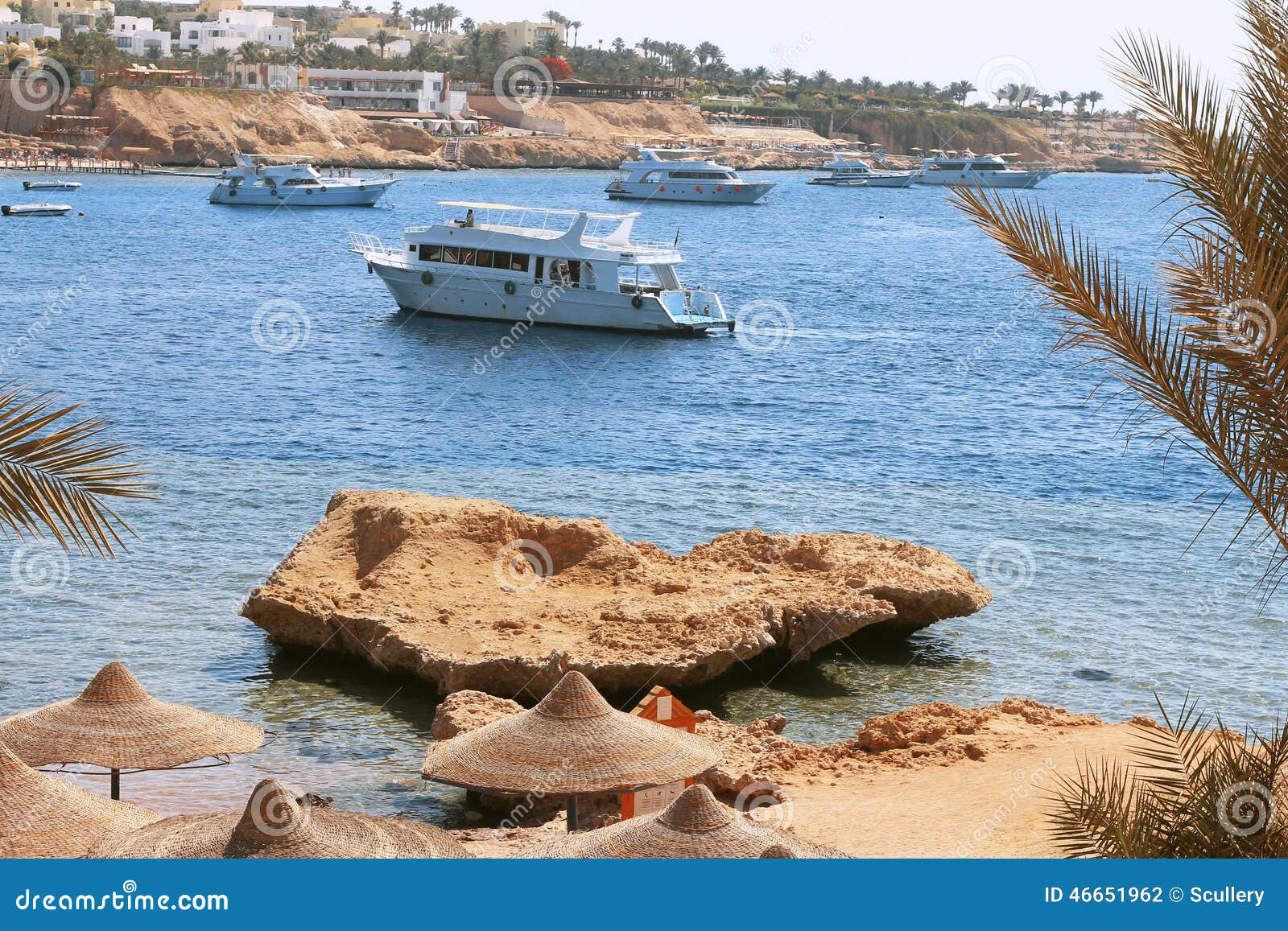 White Ship Moving By The Red Sea Stock Photo - Image of deep, diving: 46651962