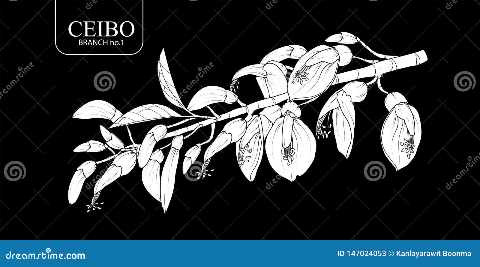 Ceibo Tree Stock Illustrations – 7 Ceibo Tree Stock Illustrations, Vectors & Clipart - Dreamstime Ceibo Tree Stock Illustrations – 7 Ceibo Tree Stock Illustrations, Vectors & Clipart - Dreamstime
