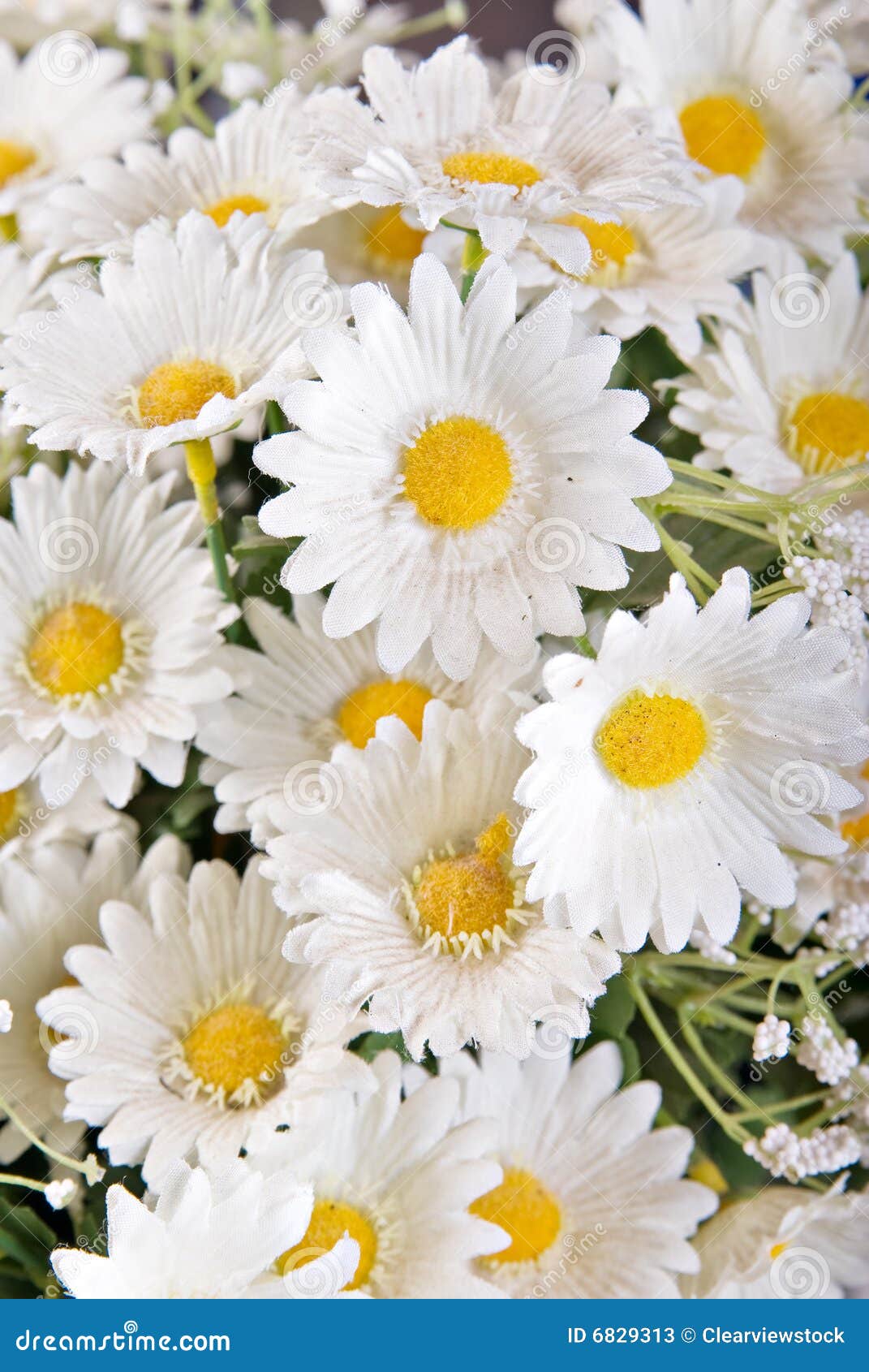 White silk daisies stock image. Image of fake, daisies 6829313