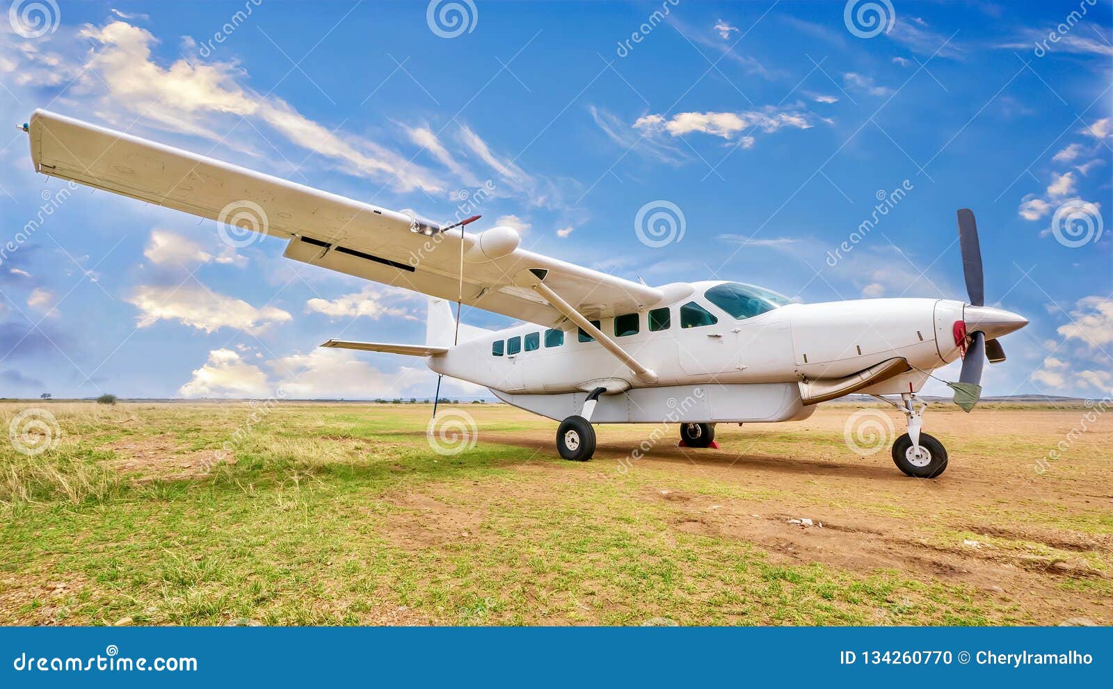 a small white private charter plane in an african landscape.