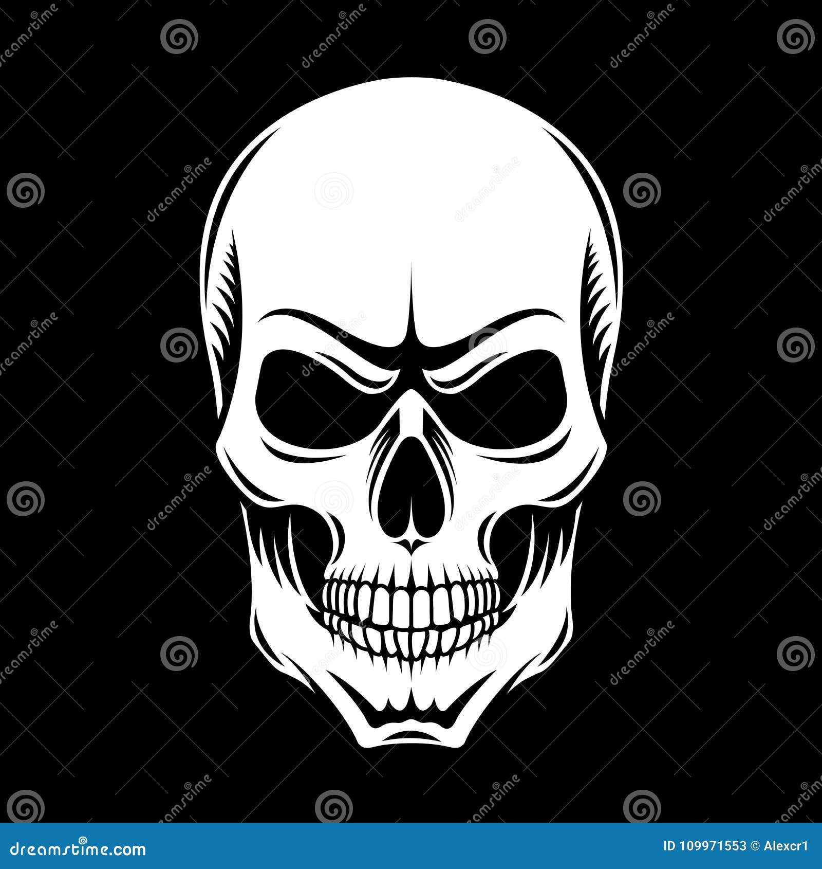White Skull on a Black Background Stock Vector - Illustration of anatomy,  pirate: 109971553