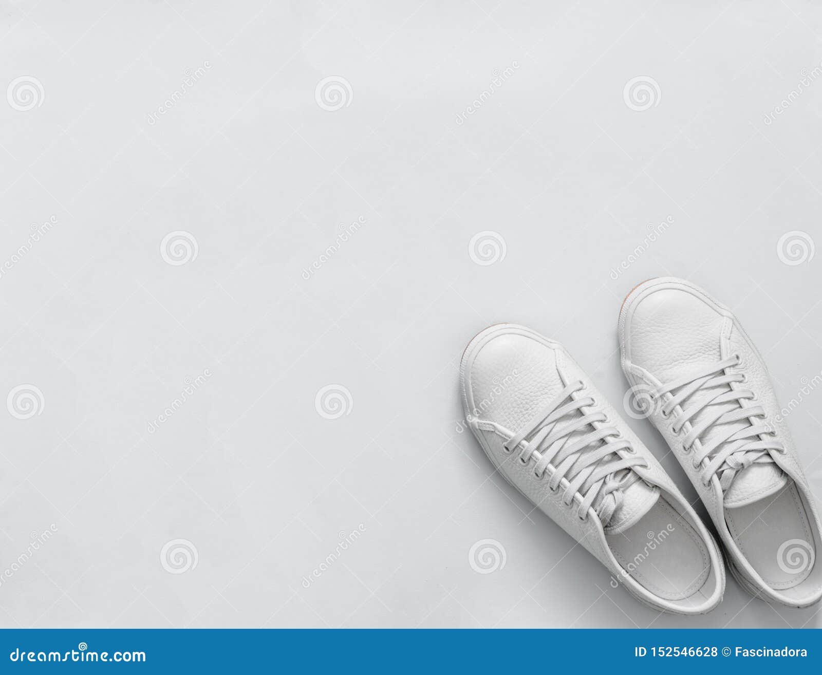 White Sneakers On Light Background, Copy Space Stock Photo - Image of ...