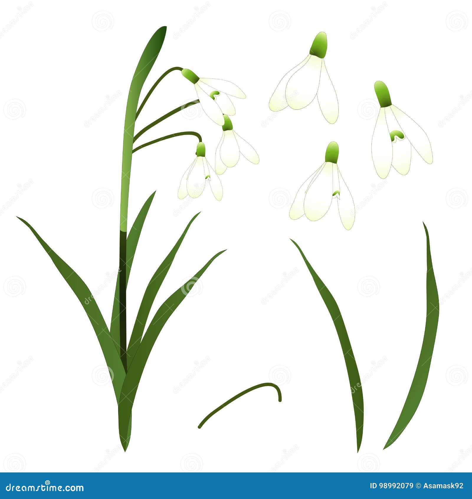 Free Free 183 Snowdrop Flower Svg SVG PNG EPS DXF File