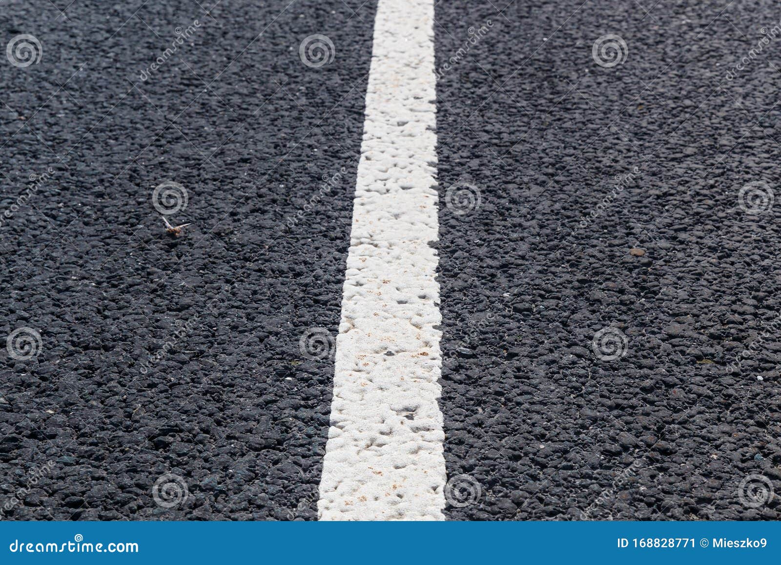 White Solid Line. Road Marking on an Asphalt Road Stock Image - Image ...