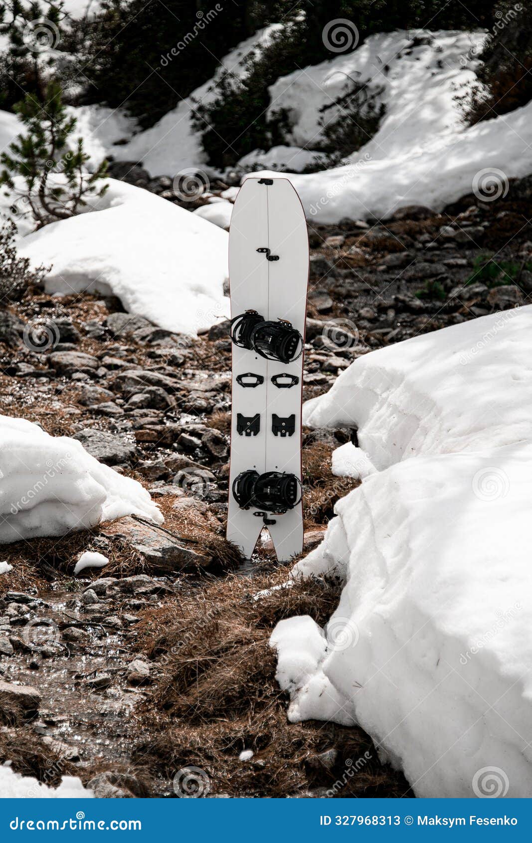 white splitboard stands on a stone where a thin mountain stream flows