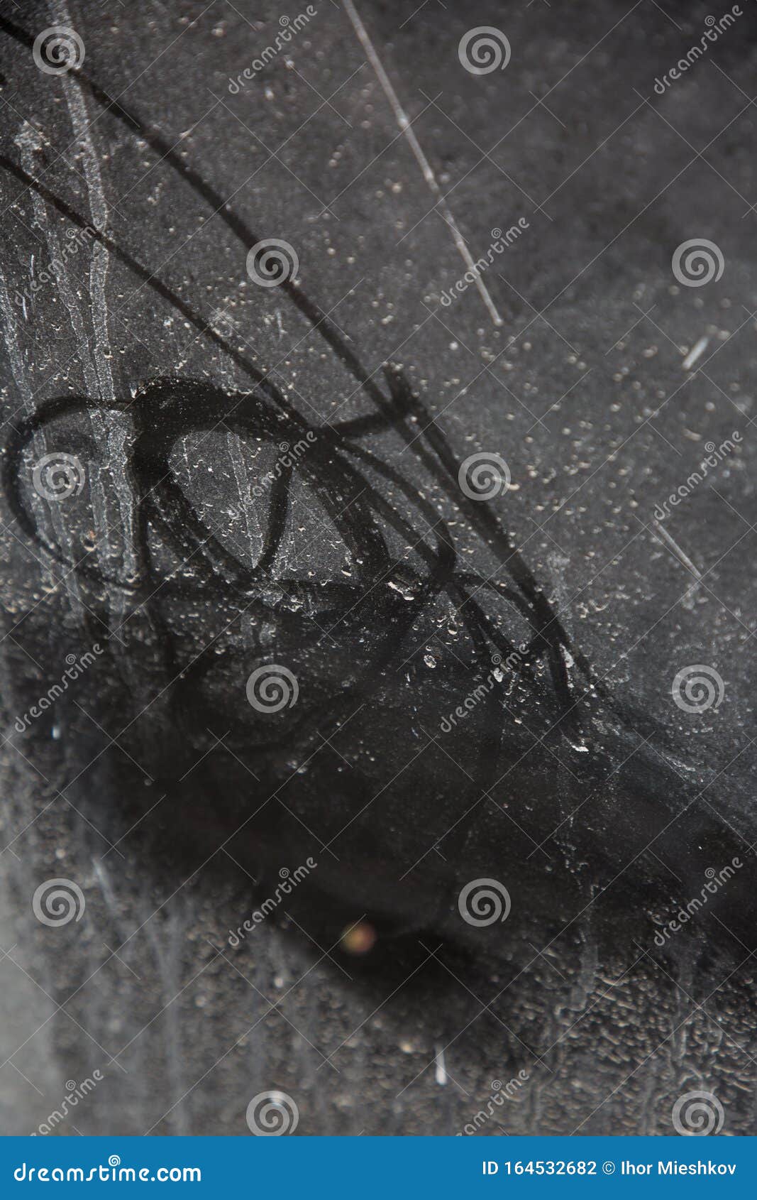 White Spots on Black Glass for Texture and Design Stock Photo Image