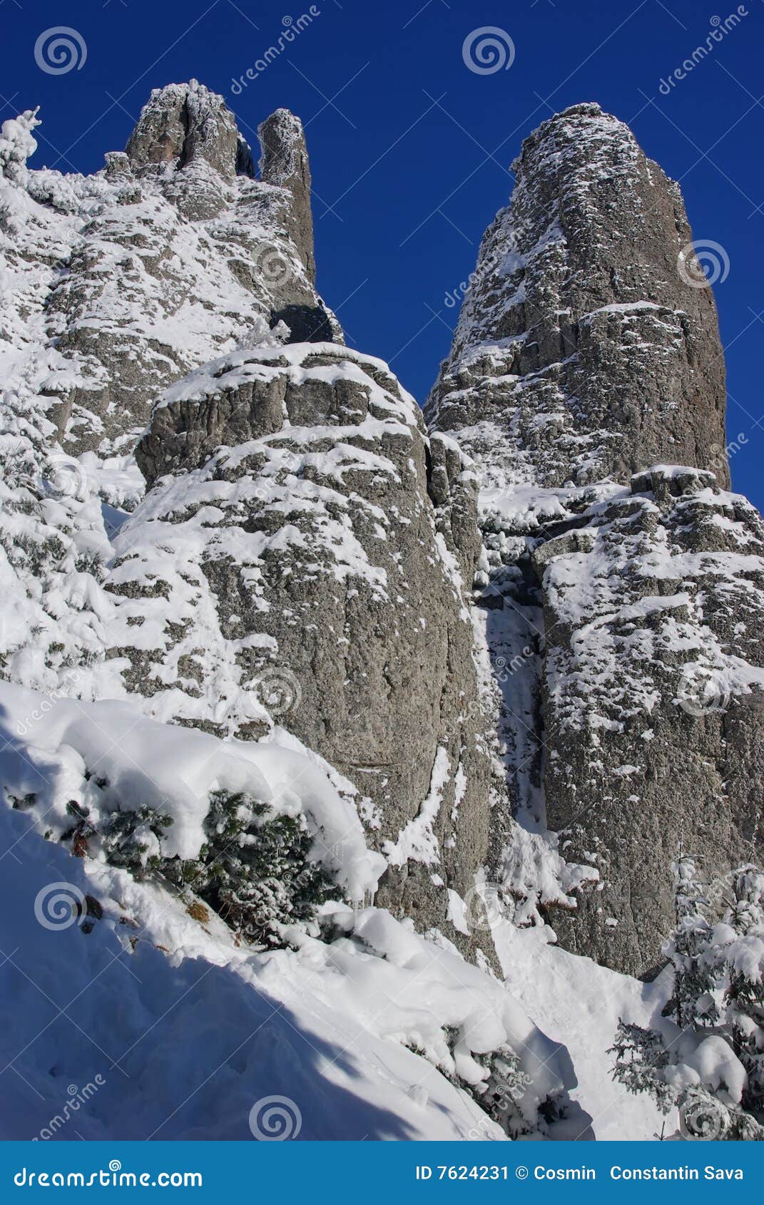 White stone stock image. Image of conifer, frost, branch 7624231