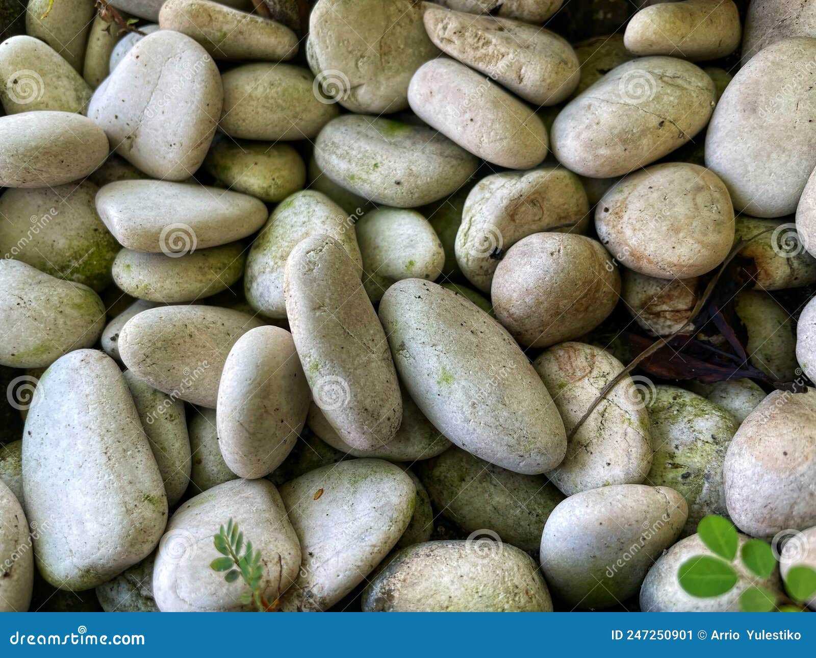 Decorative Small White Stone Stock Image Image of stone, moss 247250901