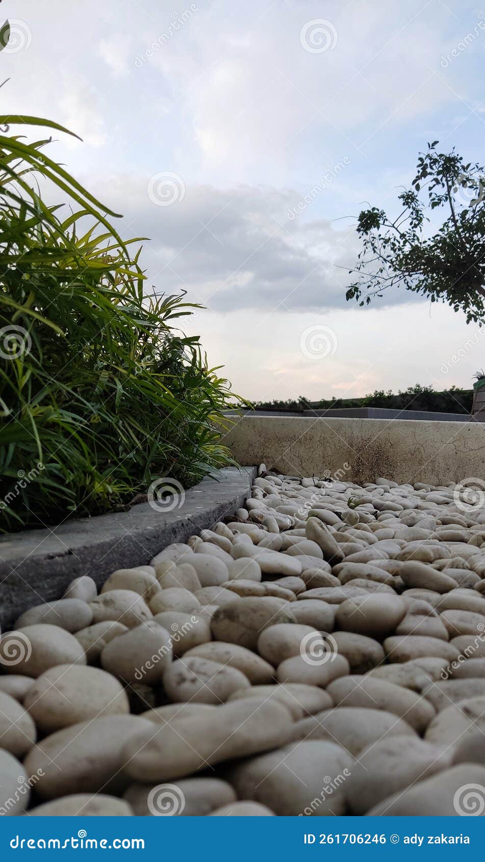 White Stone and Plant in Garden Apartment Stock Photo Image of wall