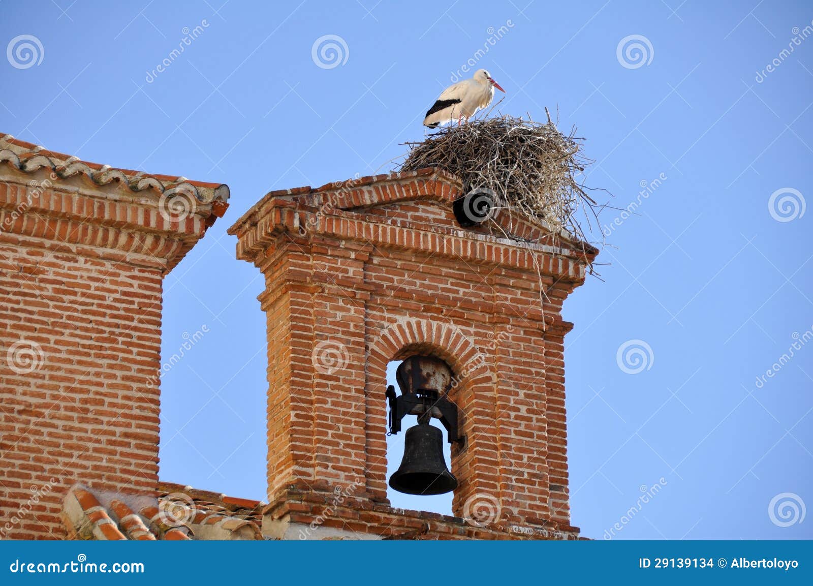 white stork on a belfry, alcala de henares, madrid (spain)