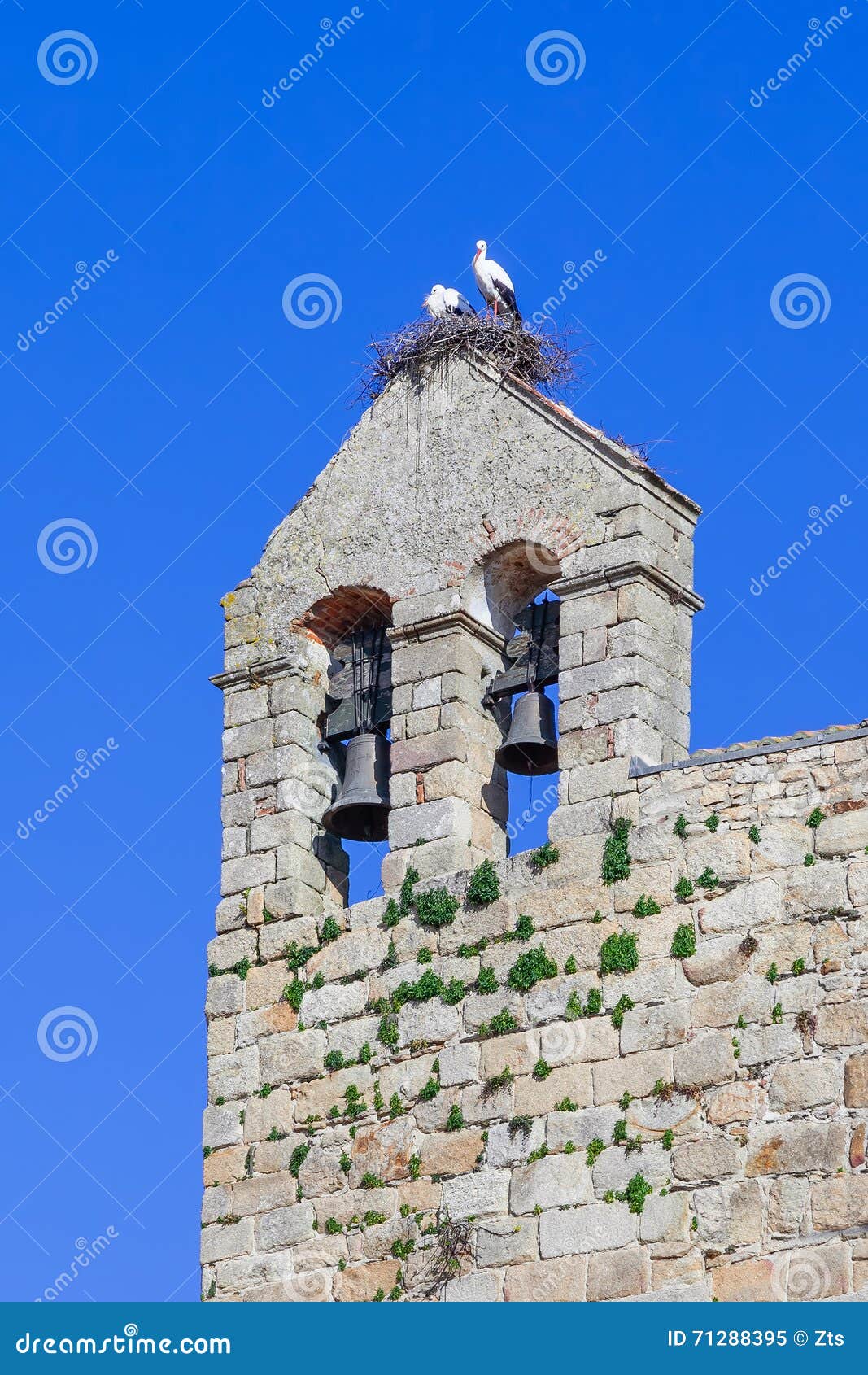 white stork nest with the couple on it, on top of the belfry of the flor da rosa monastery.