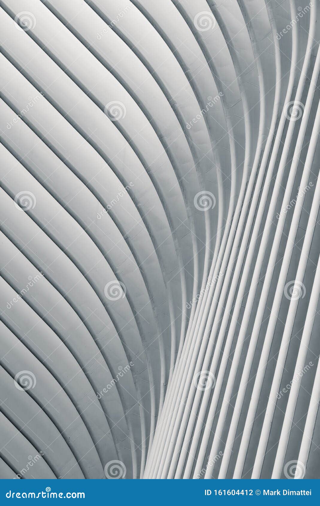Sway Line Texture Art Pattern Design With White Cureled Lines Stock Photo Image Of Ratio Structure Sway Line Texture Art Pattern Design With White Cureled Lines Stock Photo Image Of Ratio Structure