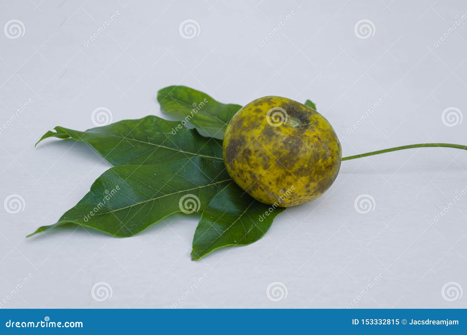 Premium Photo  Rotten mango. overripe fruit on a white surface.isolated