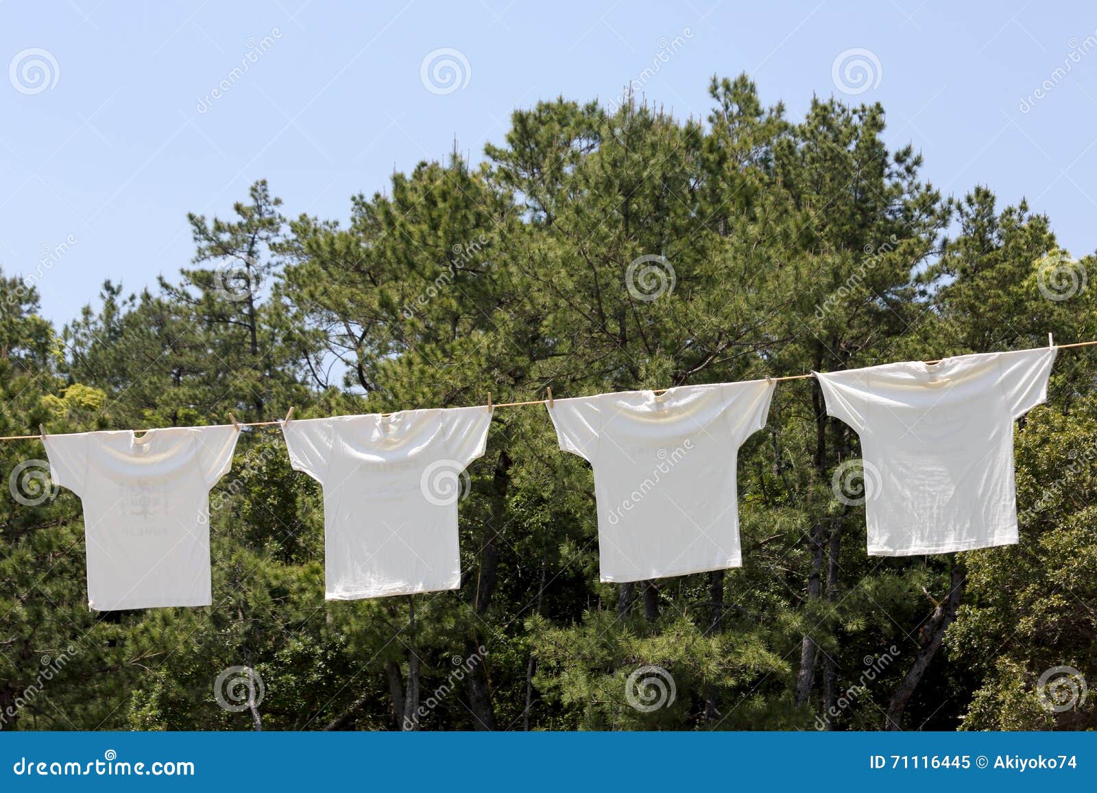 White Tshirts Hanging on the Clothesline Stock Image Image of cord