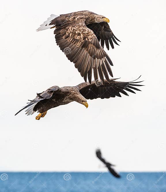 My Image 30