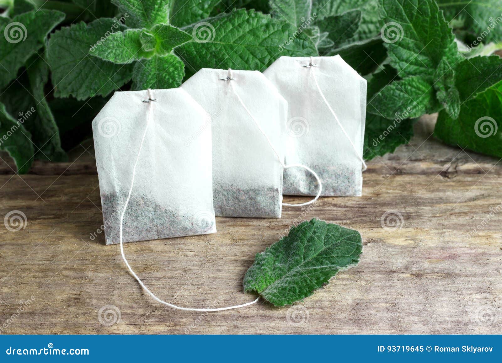 White Tea Bags with Mint Leaves Stock Image Image of spice, medical 93719645