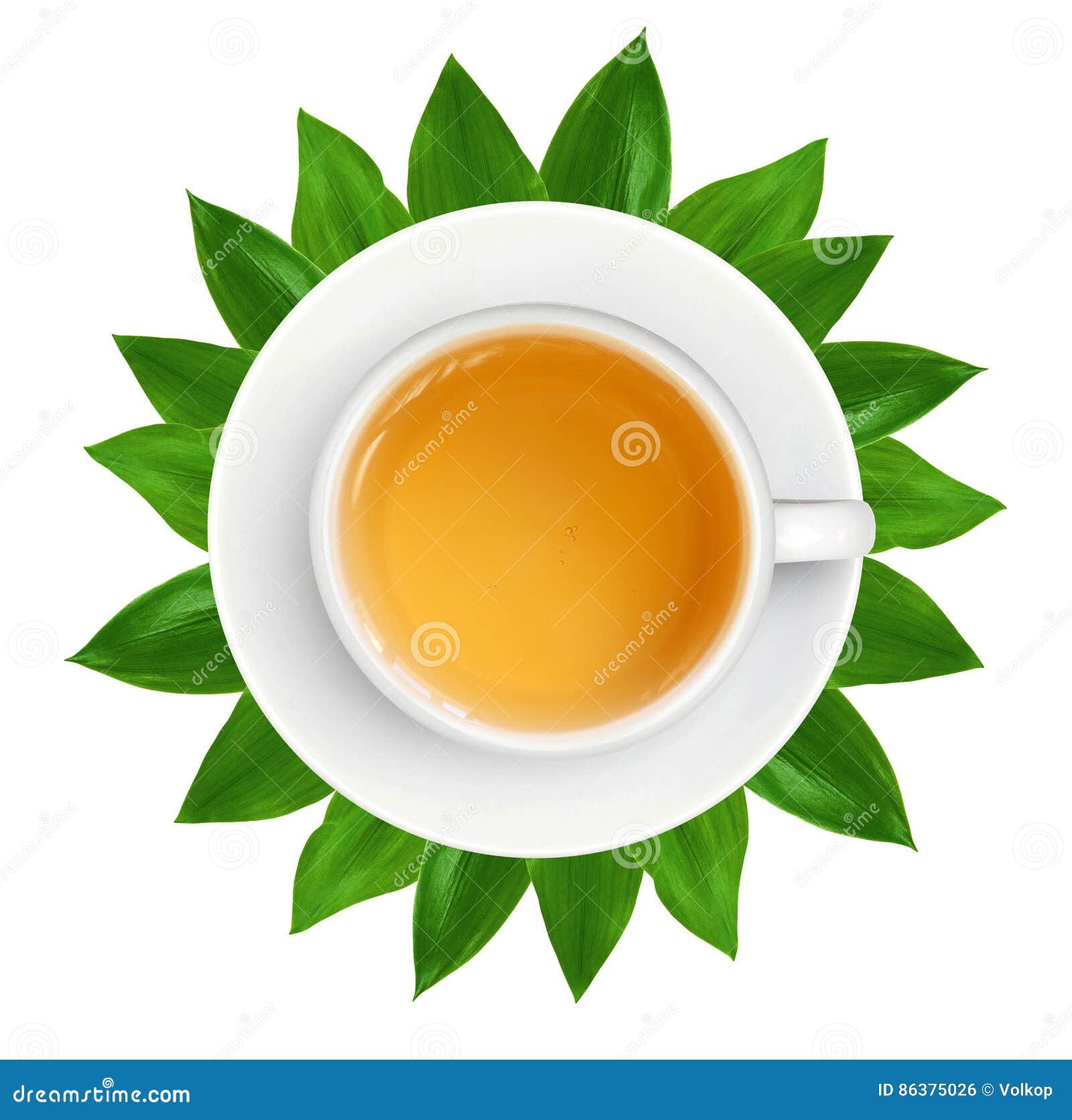 White Tea Cup on Green Leaves on White Background Stock Photo Image